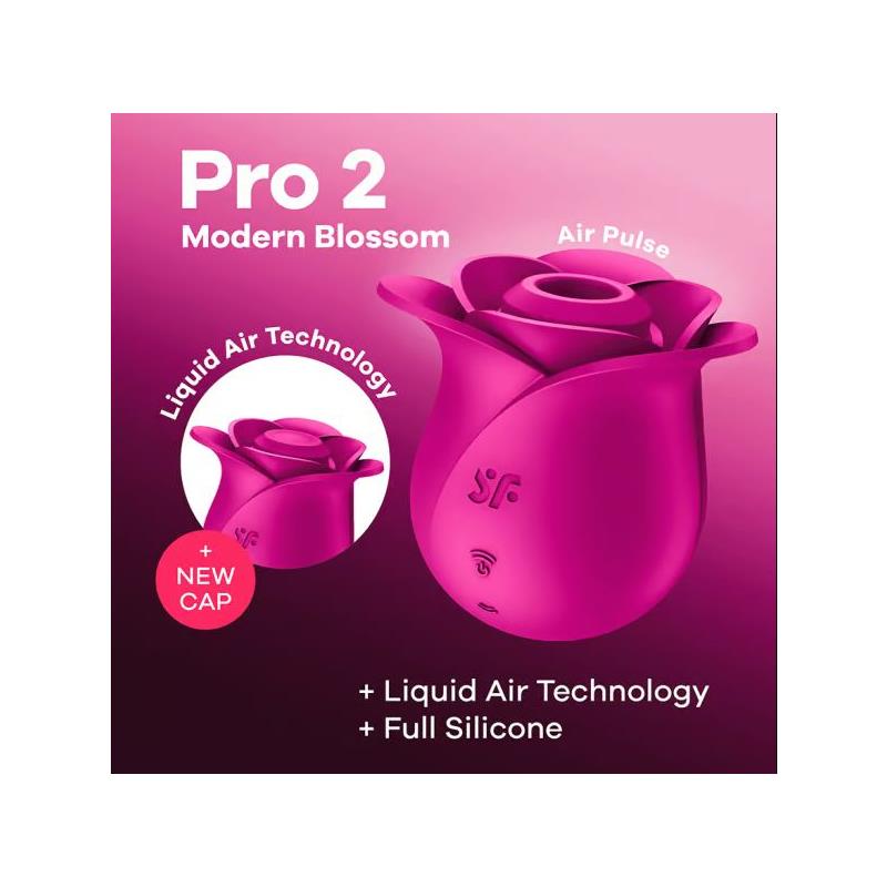 AIR PULSE PRO 2 CLASSIC BLOSSO 14