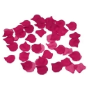 100 PETALOS COLOR FUSCIA