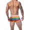 BOXER TRUNK RAINBOW XL nº1