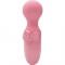 MINI MASSAGER PESSOAL ROSA nº1