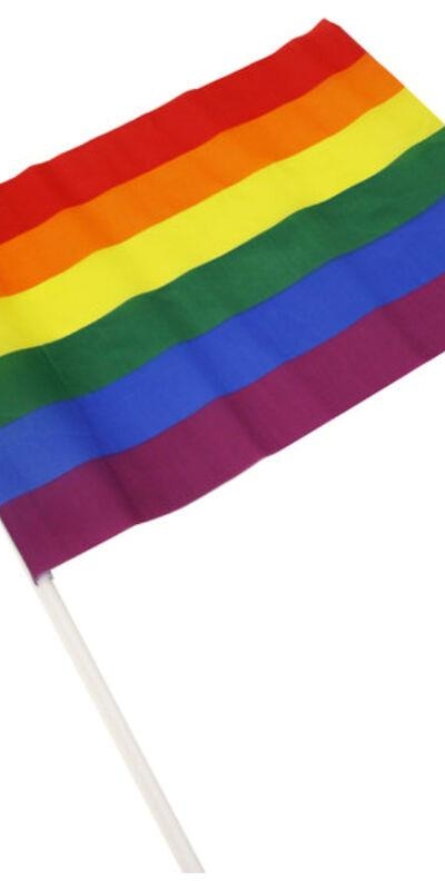 BANDERIN MEDIANO COLORES BANDE Estandarte lgbt com cores vibrantes para celebrações.