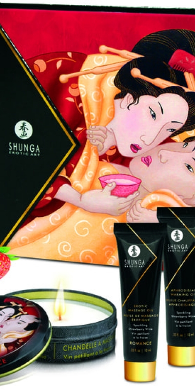 SHUNGA GEISHA SPARKLIN 5 tesouros para estimular como nunca antes